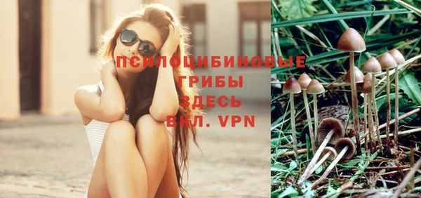 apvp Аркадак