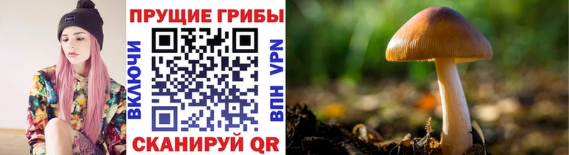как найти наркотики  маркетплейс состав  Псилоцибиновые грибы мицелий  Спас-Деменск 